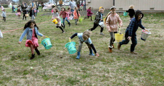 Photo by Keith Thorpe/Olympic Peninsula News Group
Youngsters scramble for eggs during the Sequim Elks Lodge’s annual hunt on April 8.