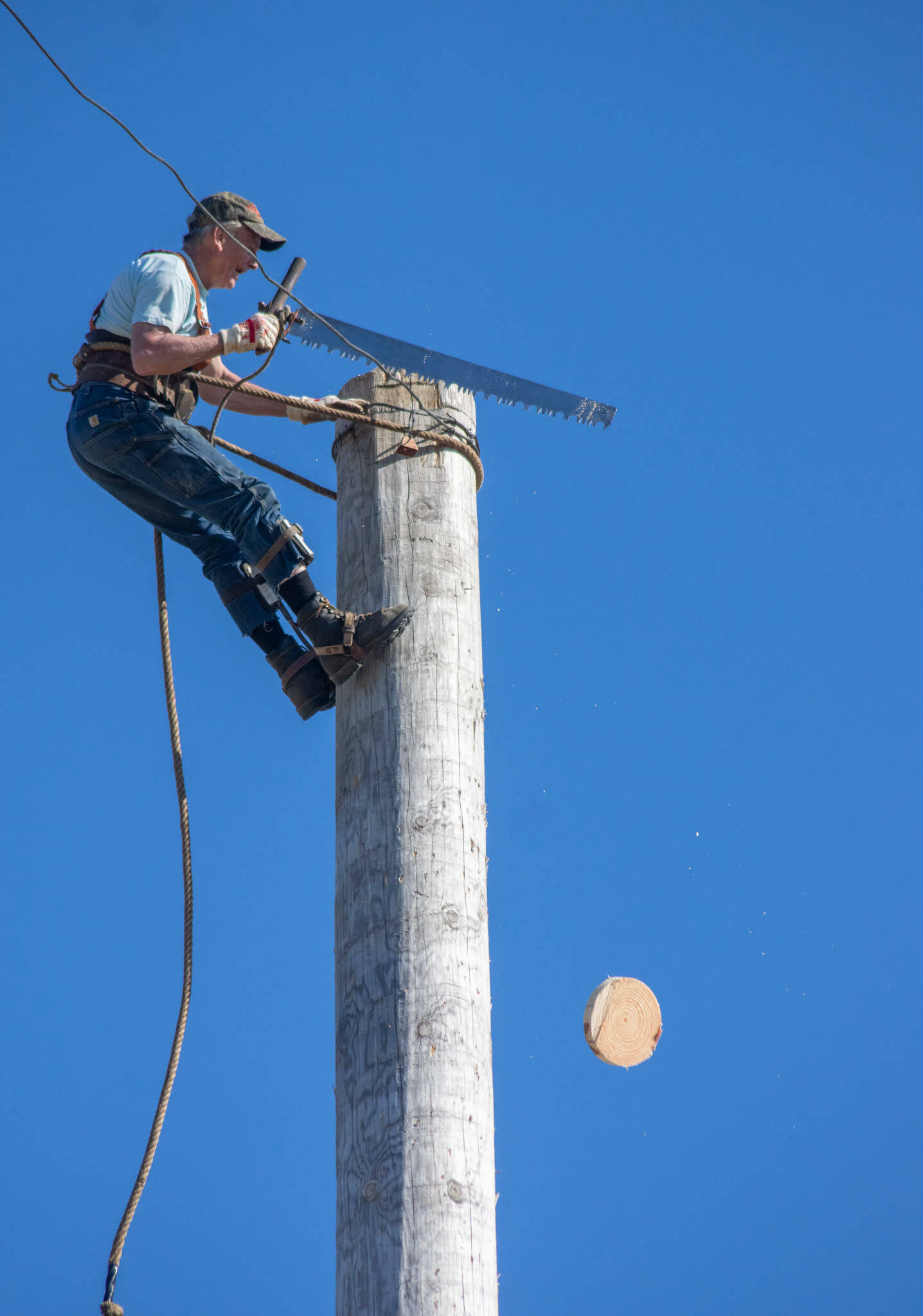 Sequim Gazette photo by Emily Matthiessen
Tony Kaszycki, 68, of Graham, is a crowd favorite for his agility and speed as he climbs what was described as about a 90-foot high pole and saws a round of wood at the Sequim Irrigation Festival Logging Show last week.