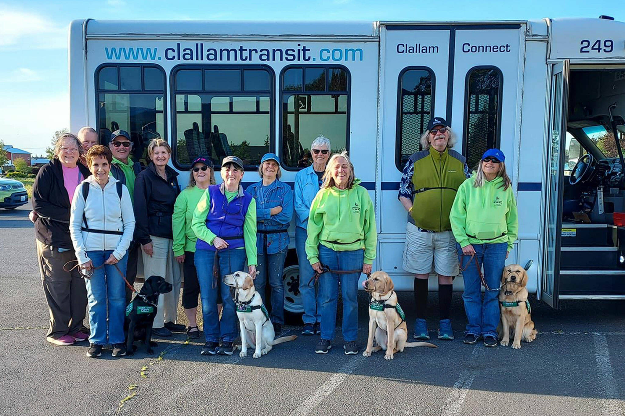 Photos courtesy Clallam Transit
Members of the Sequim Puppy Raisers with Guide Dogs for the Blind helped with training four puppies, from left, Mattie, Sabrina, Adele, and Moon on May 11 become more familiar with using public transportation.
