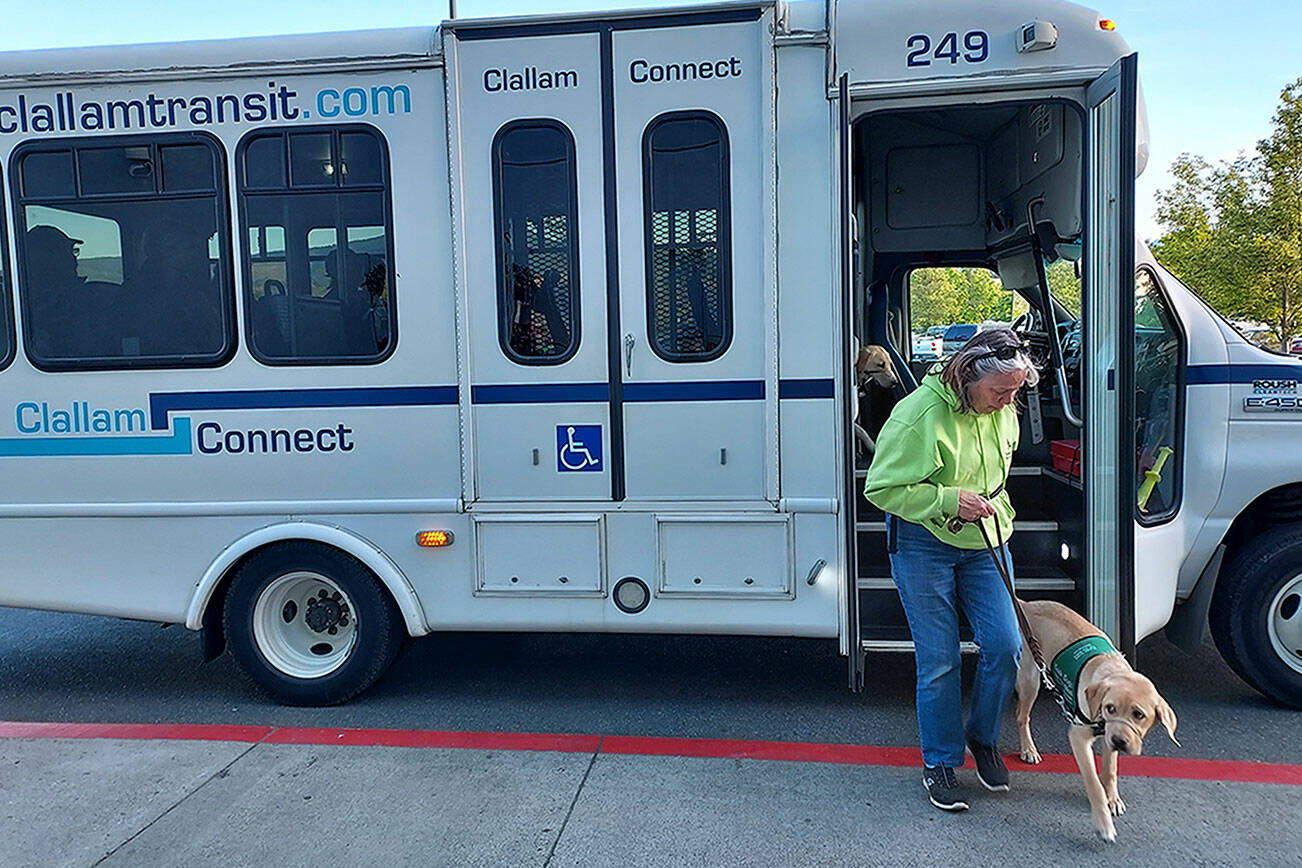 Milestone: Puppy Raisers take bus ride for Guide Dogs training | Sequim