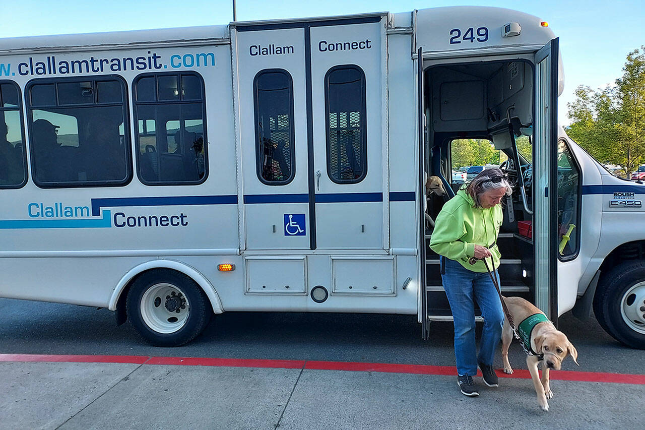 Photo courtesy Clallam Transit/ Kandi Whitley walks with Adele the dog off a Clallam Connect Paratransit bus on May 11 as part of training for Sequim Puppy Raisers with Guide Dogs for the Blind.