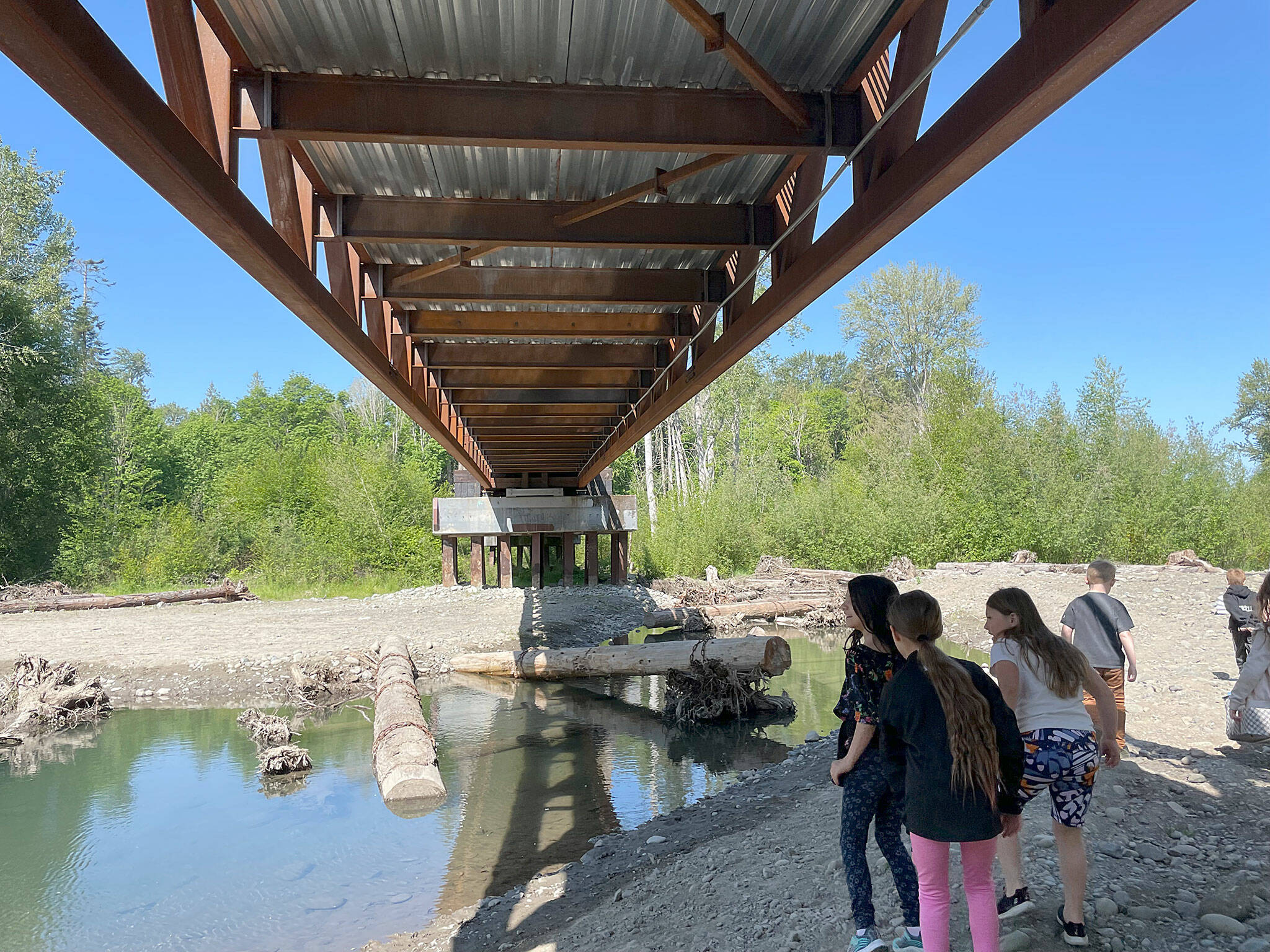 Sequim Gazette photo by Matthew Nash/
Standing underneath the Dungeness River Railroad Bridge used to take a lot to traverse. Now it’s a fairly easy trek down some rocks. At least the second graders made it look easy to walk.
