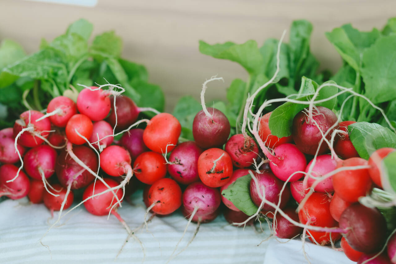 Photo courtesy of Sequim Farmers & Artisans Market 
Check out fresh spring radishes and much more at the Jembe Farms booth at the Sequim Farmers & Artisans Market on Saturdays.