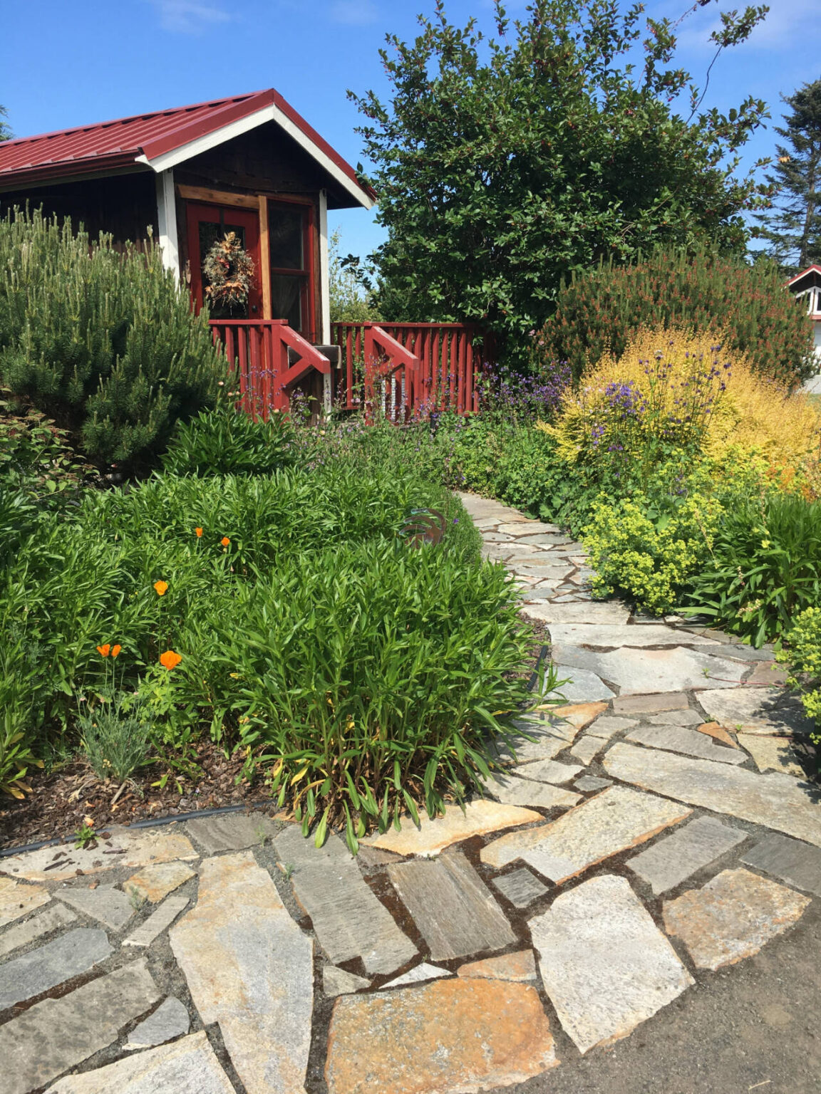 Picturesque places prepped for 2023 Petals Pathways Sequim Gazette