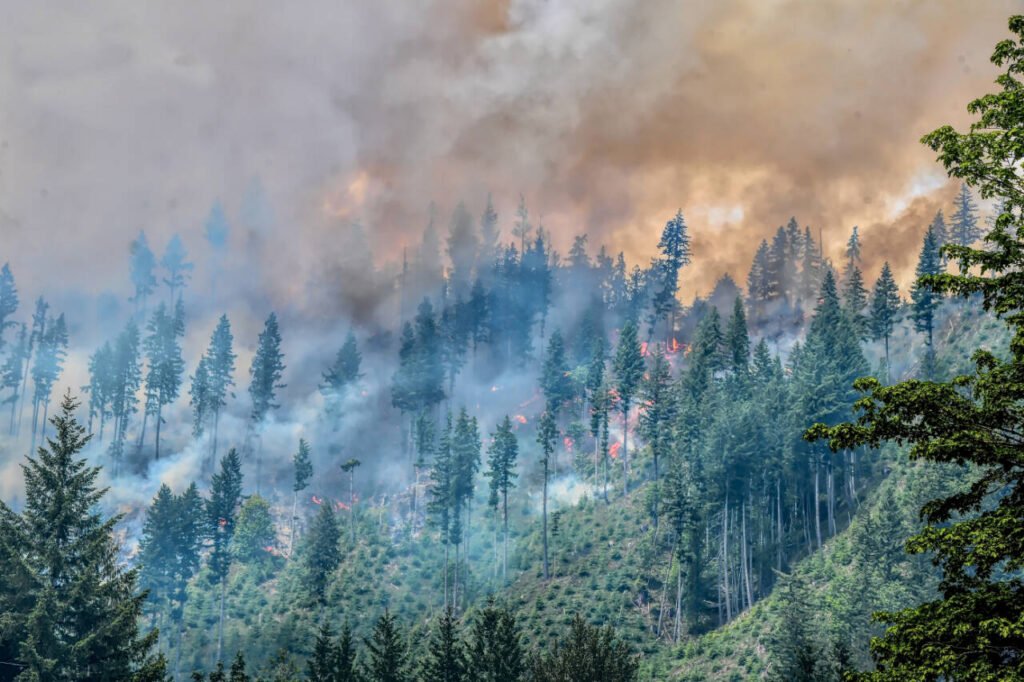 Clallam, Jefferson burning restrictions in place Sequim Gazette