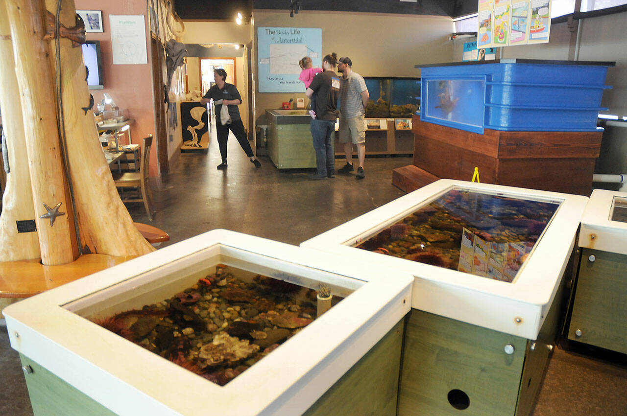 Photo by Keith Thorpe/Olympic Peninsula News Group / Visitors examine the marine exhibits at the Feiro Marine Life Center at Port Angeles City Pier on June 11.