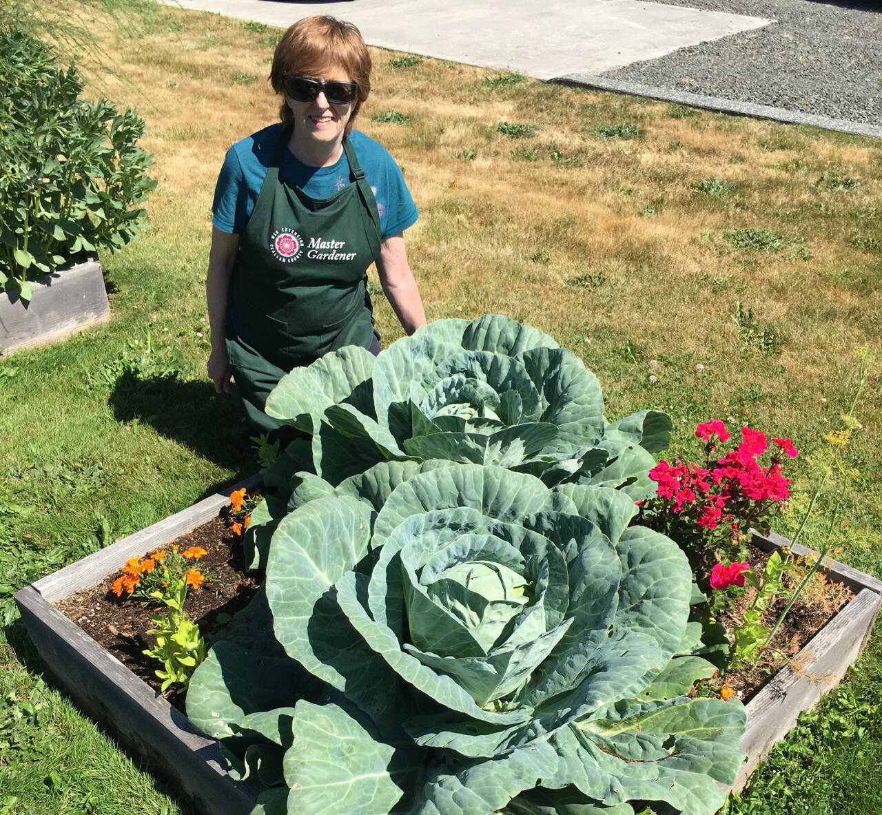 Photo courtesy of Margery Whites/ Join Master Gardener Margery Whites for the Digging Deeper Saturdays presentation “Gardening for Newcomers to the North Olympic Peninsula,” from 10:30 a.m.-noon on Saturday, Sept. 16, at the Woodcock Demonstration Garden.