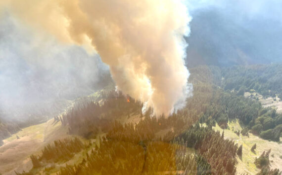 The Eagle Point Fire was about 60 acres as of Sunday as fire crews patrolled the Obstruction Point area by aircraft. (Olympic National Park)