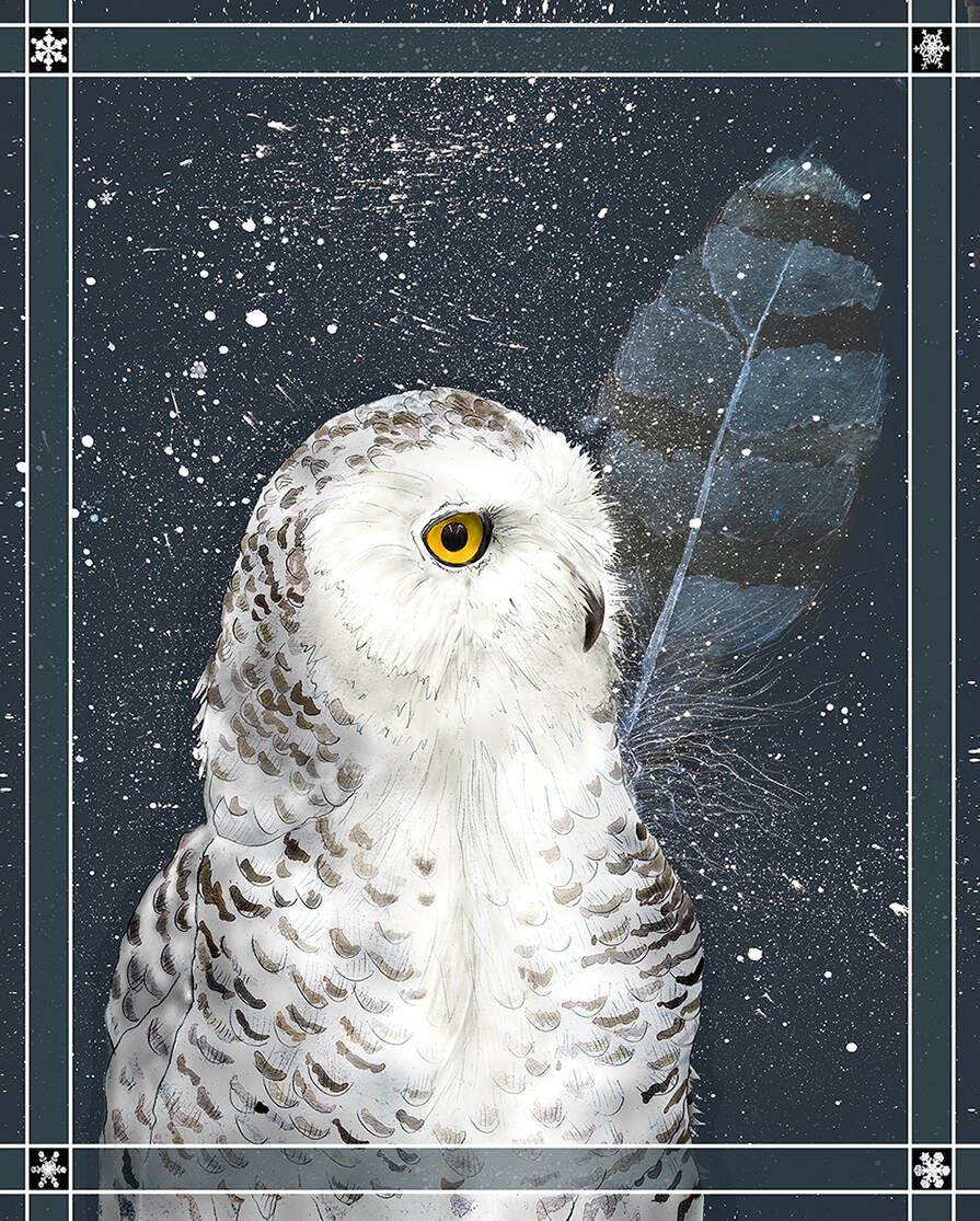 “Snowy Owl 4” by Jeannine Chappell