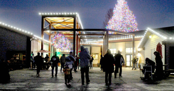 KEITH THORPE/PENINSULA DAILY NEWS
The Dungeness River Nature Center stands illuminated by Christmas lights as visitors roam the outdoor patio after a lighting ceremony for the center and nearby Railroad Bridge on Thursday night in Sequim. Hundreds of people took part in the event, which featured holiday songs by the Sequim High School Choir on the historic bridge over the Dungeness River.