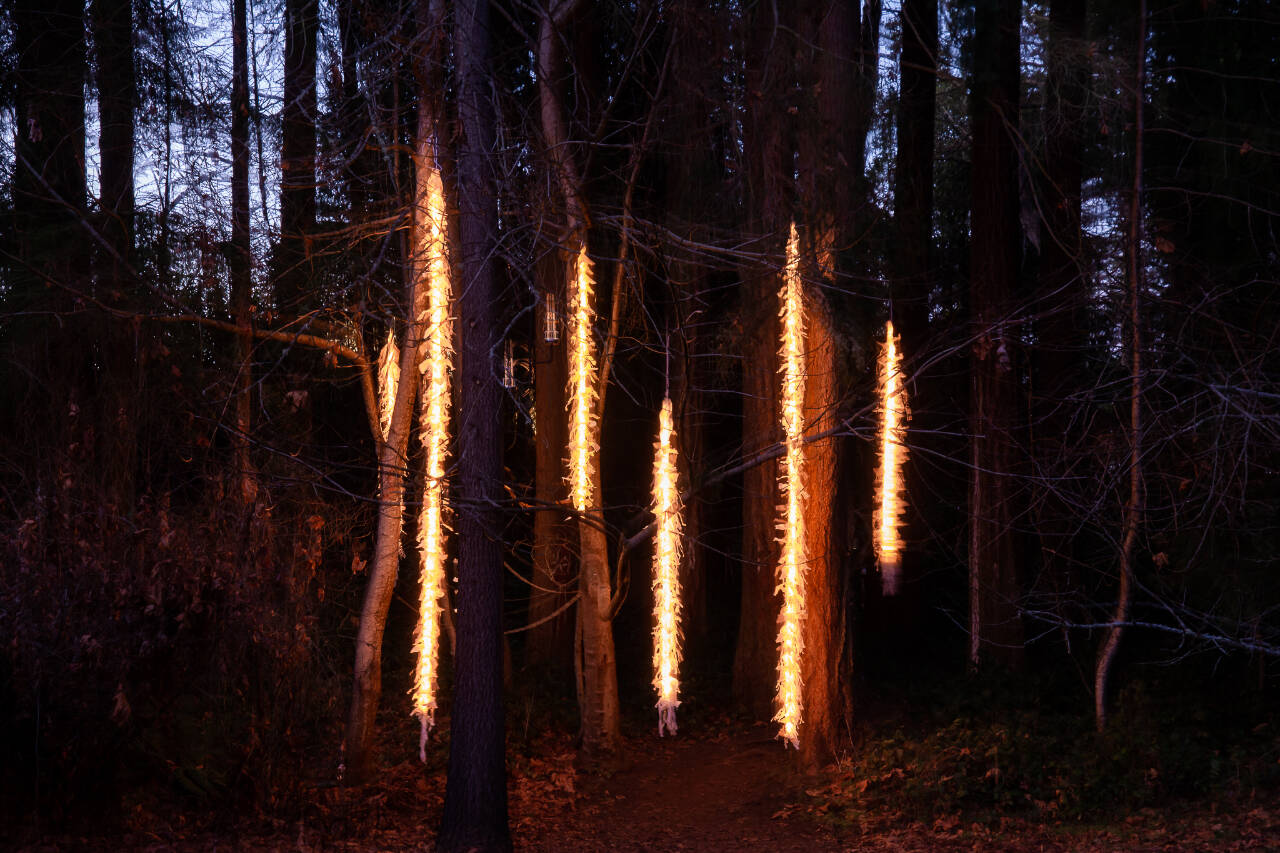 Photo courtesy of Port Angeles Fine Arts Center / “Melt Down” by Andy Rovelstad, a returning artist to the Port Angeles Fine Arts Center’s Light Art Exhibition. This year’s theme is “Nature After Dark.”