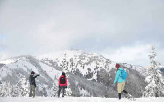Michael Dashiell /Ol;ympic Peninsula News Group
 Snowshoers enjoy a new snowfall at Hurricane Ridge in this file photo.