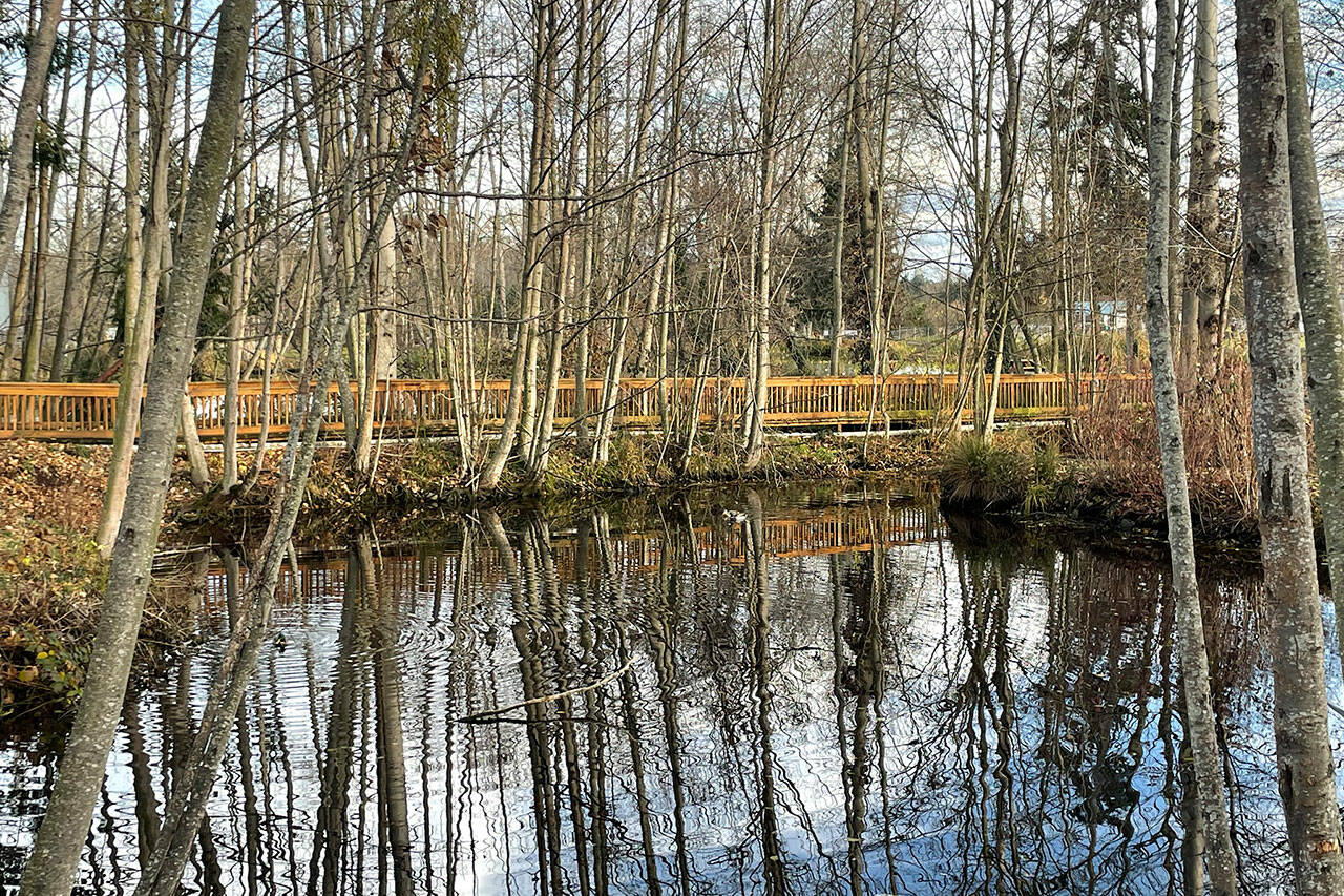 Sequim Gazette photo by Matthew Nash
One of the capital projects slated for 2024 includes replacing four timber bridges between Carrie Blake Community Park and the Reuse Demonstration Site across Bell Creek. It’s estimated to cost about $350,000 for the project.