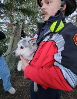 Photo courtesy Clallam County Fire District 3/ Clallam County Fire District 3 firefighter Bo Sylte holds Sparky the dog after technical rescue crew members worked together to save it from a hillside off Finn Hall Road.
