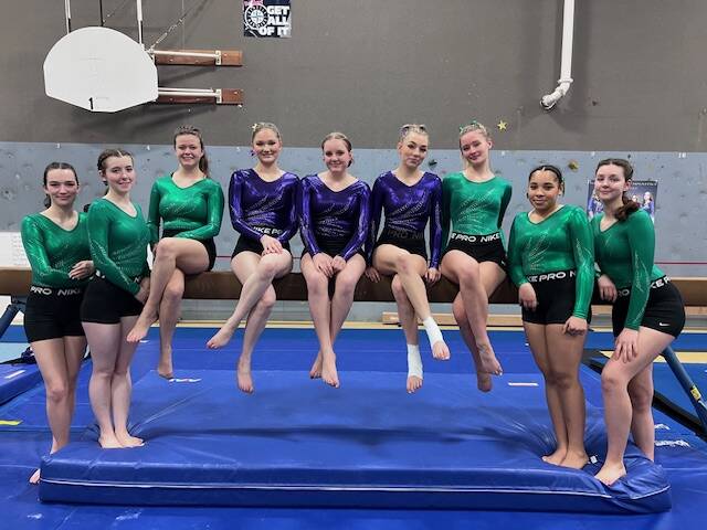 Photo courtesy of Rachel Sharp
Sequim-Port Angeles gymnasts for the 2023-24 season include, from left, Maddie Adams, Faith Carr and Ryah Deleon of Port Angeles, Madison Ripley, Lucy Spelker and Susannah Sharp of Sequim, and Summer Hirst-Lowe, Shavari Epps and Waverly Mead.