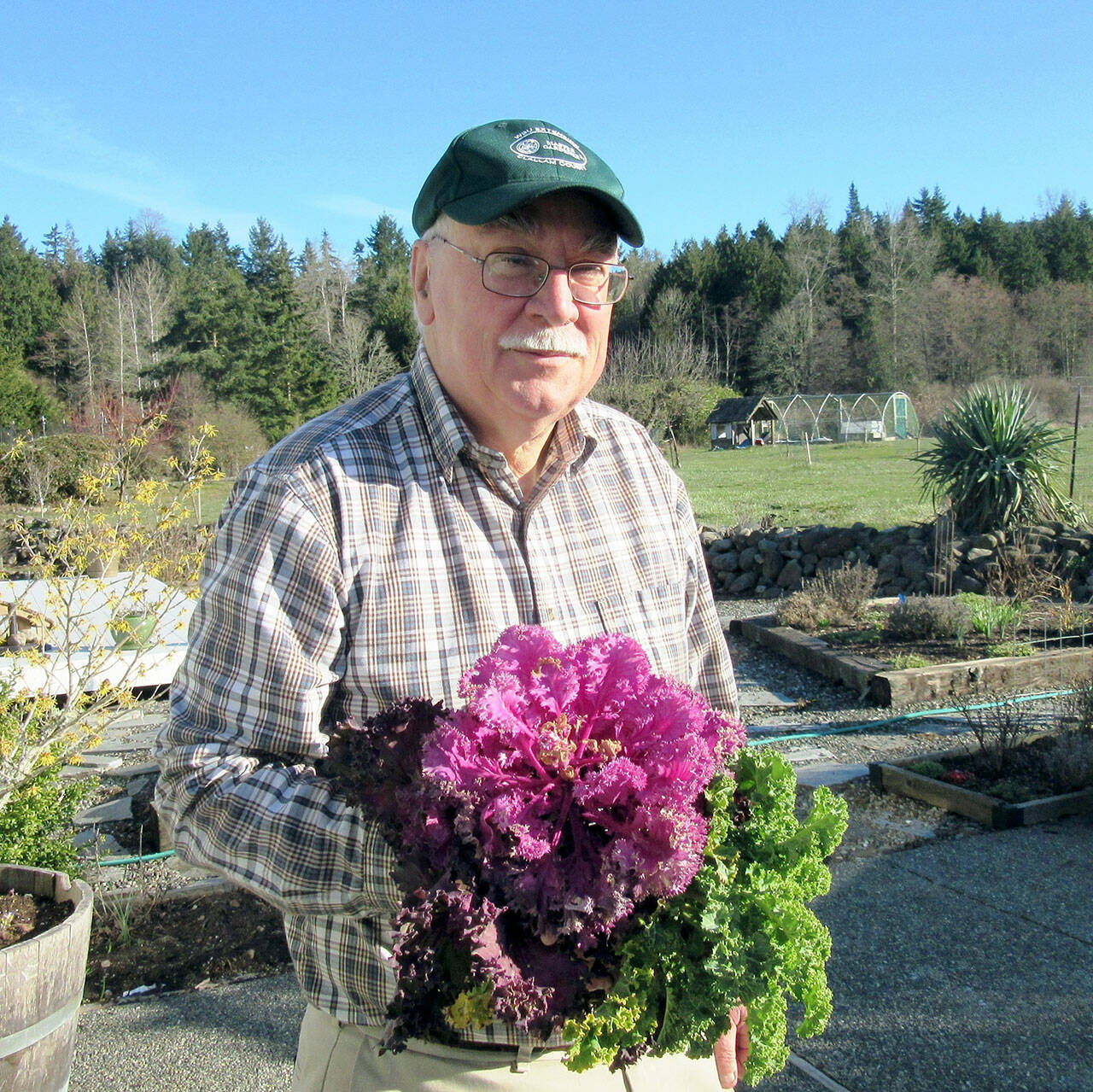 Photo courtesy of Bob Cain
Find out how to keep your fruit trees fit by using horticultural oils from Clallam County Master Gardener Bob Cain, the presenter at the next Green Thumb Education Series set for Jan. 25 in Port Angeles and on Zoom.