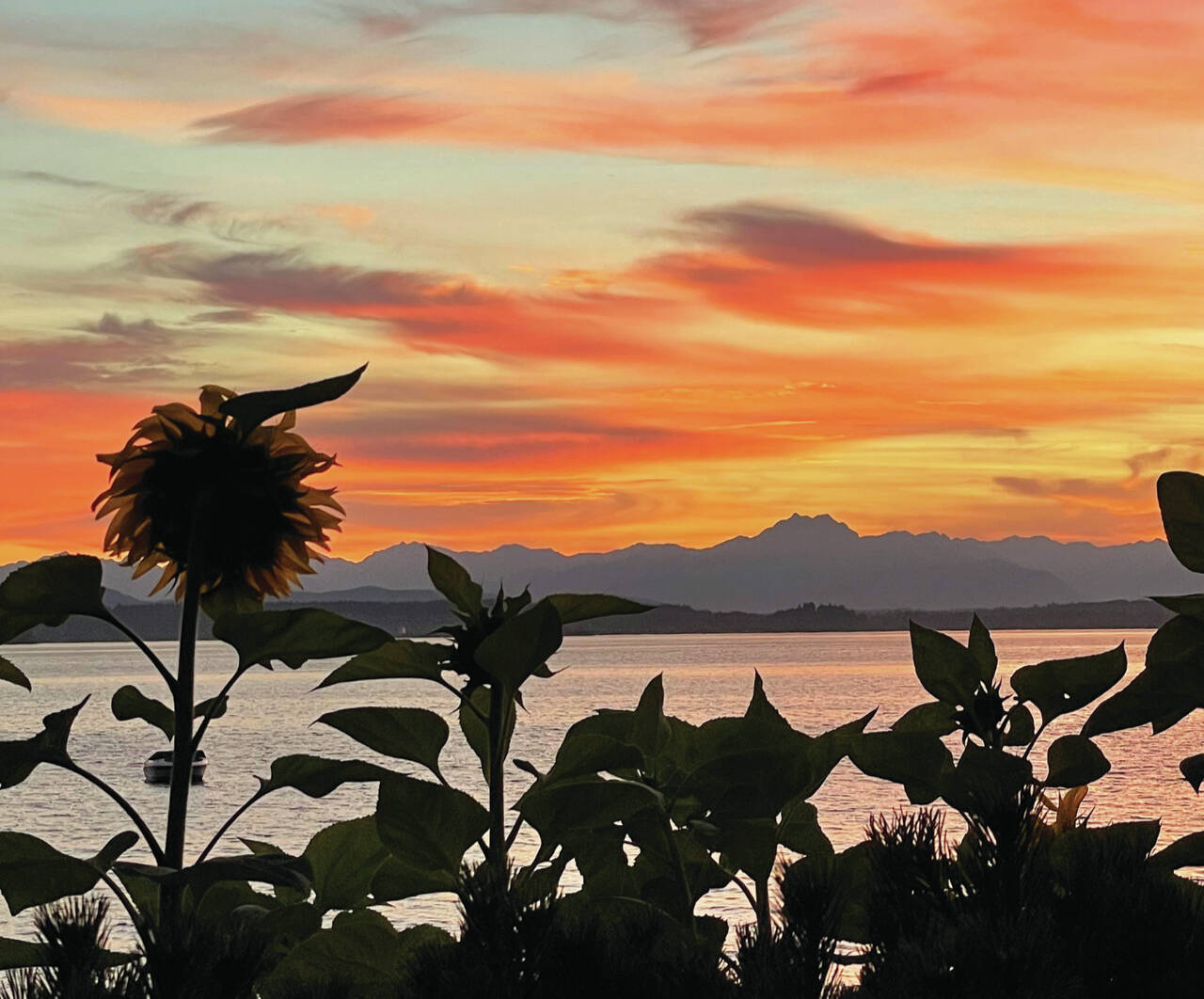 Photo courtesy of Washington State Journal / A late night summer sun sets over Puget Sound in West Seattle at 8:44 p.m.