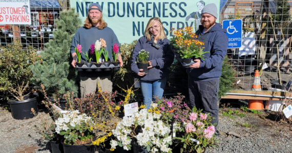 Clallam County’s freshest Certified Professional Horticulturists: Jett Gagnon, Jayde Carmean and Stew Cockburn, from New Dungeness Nursery.