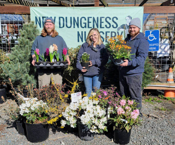 <p>Clallam County’s freshest Certified Professional Horticulturists: Jett Gagnon, Jayde Carmean and Stew Cockburn, from New Dungeness Nursery.</p>