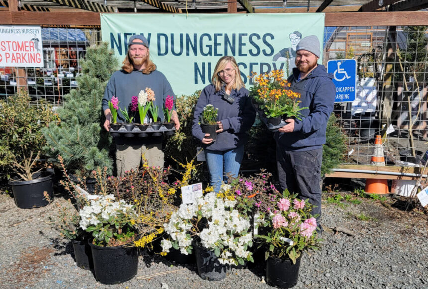 <p>Clallam County’s freshest Certified Professional Horticulturists: Jett Gagnon, Jayde Carmean and Stew Cockburn, from New Dungeness Nursery.</p>