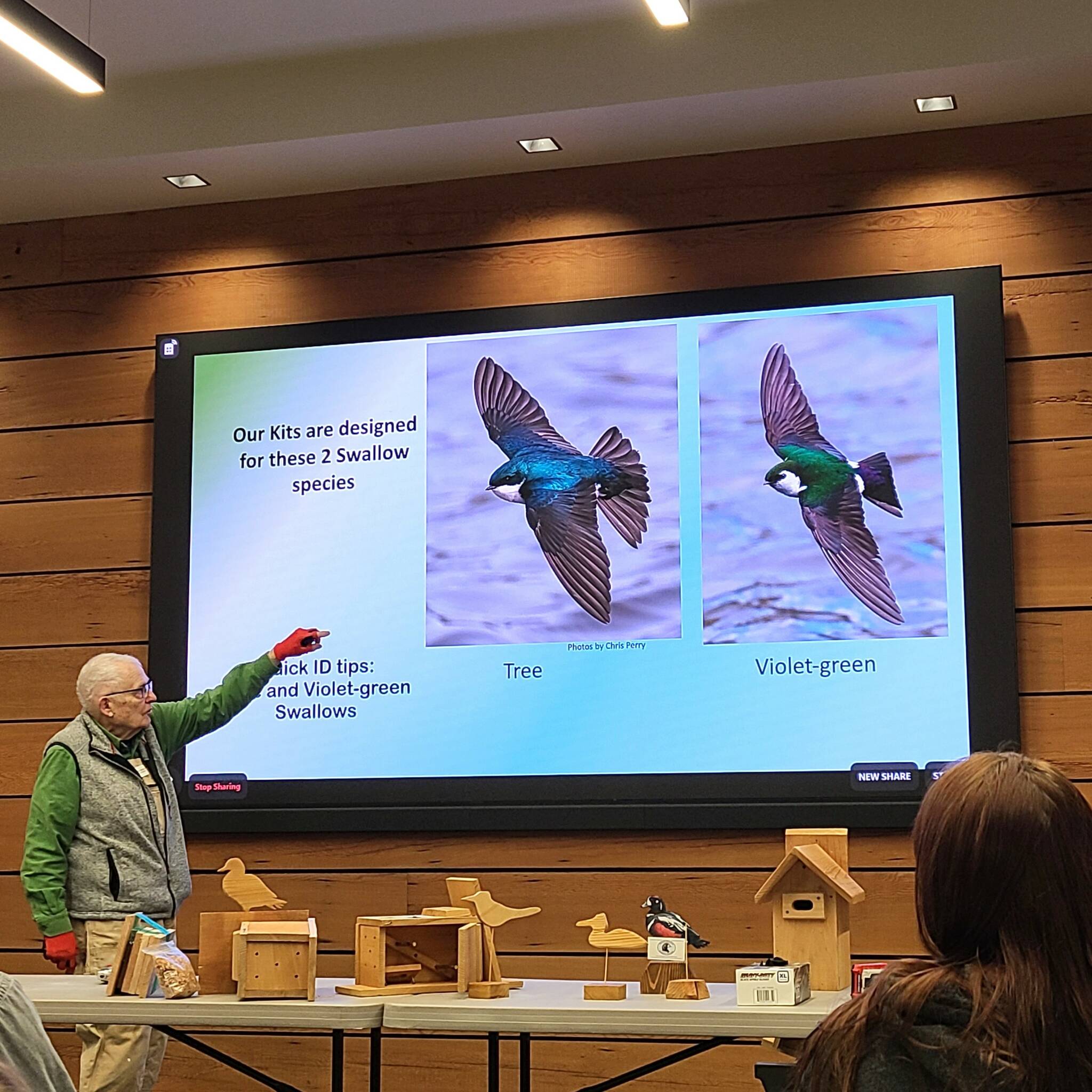 Photo courtesy of Olympic BirdFest
Ken Wiersema, Olympic Peninsula Audubon Society president, teaches a class on swallows during April’s BirdFest at the Dungeness River Nature Center.
