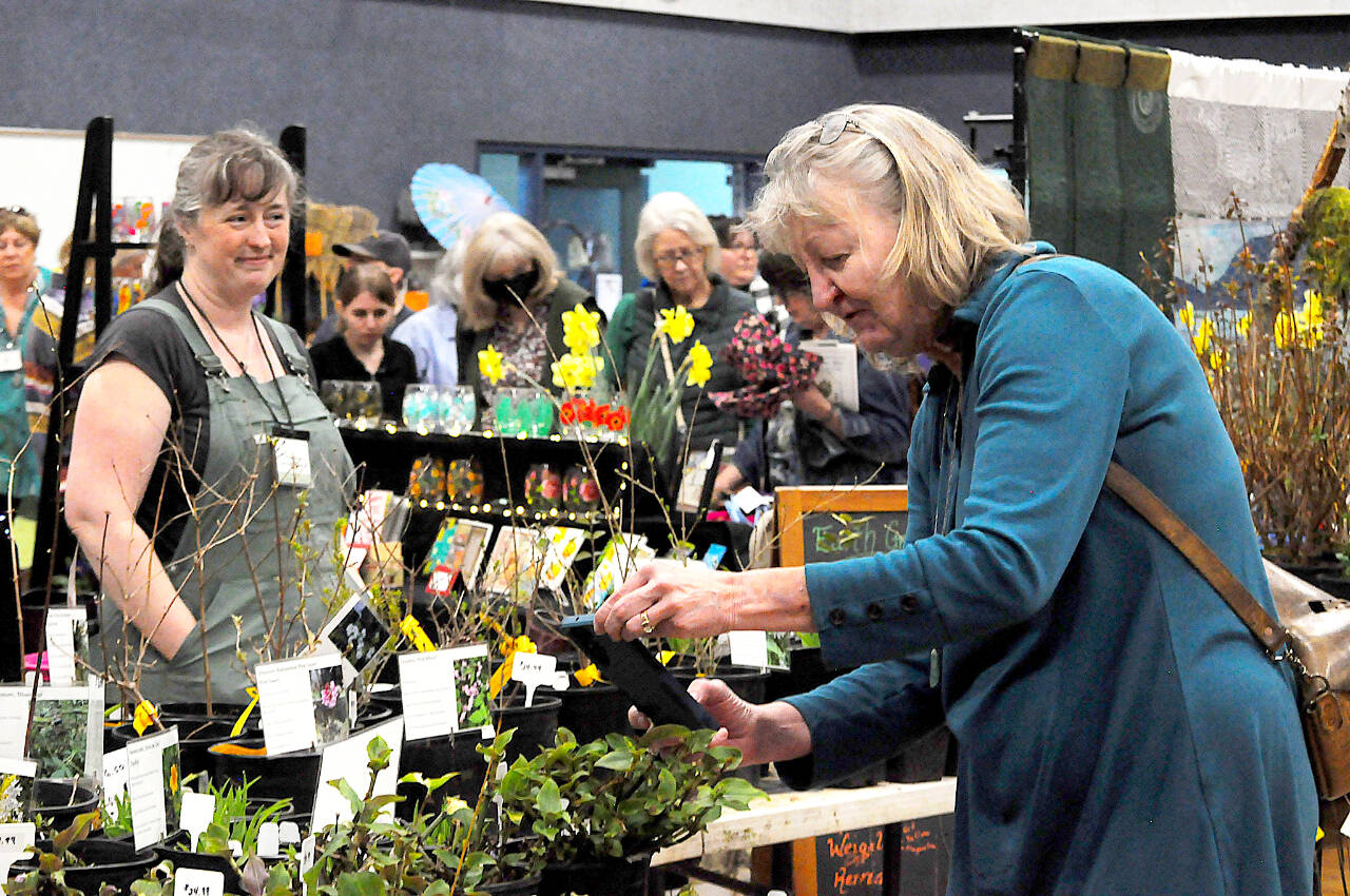 Sequim Gazette photo by Matthew Nash/ Michelle Cox of Sequim snaps a photo of spiderwort on March 16 at the Soroptimist Gala Garden Show as Iris Fagerland with Earth Grown Creations of Port Orchard looks on. Cox said she’s new to the area from Colorado and wanted to learn more about what will grow in Sequim’s climate.