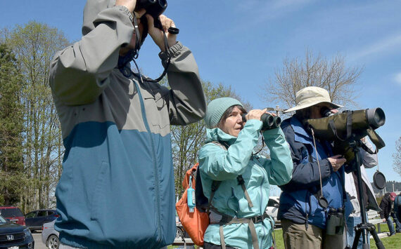 Olympic Birdfest participants, from left, Paul Foeller and Lucy Pauckert of Sequim and Marion Rutledge of the Dungeness River Nature Center look for waterfowl on Sequim Bay from John Wayne Marina during a birdwatching excursion on Saturday. (Keith Thorpe/Peninsula Daily News)