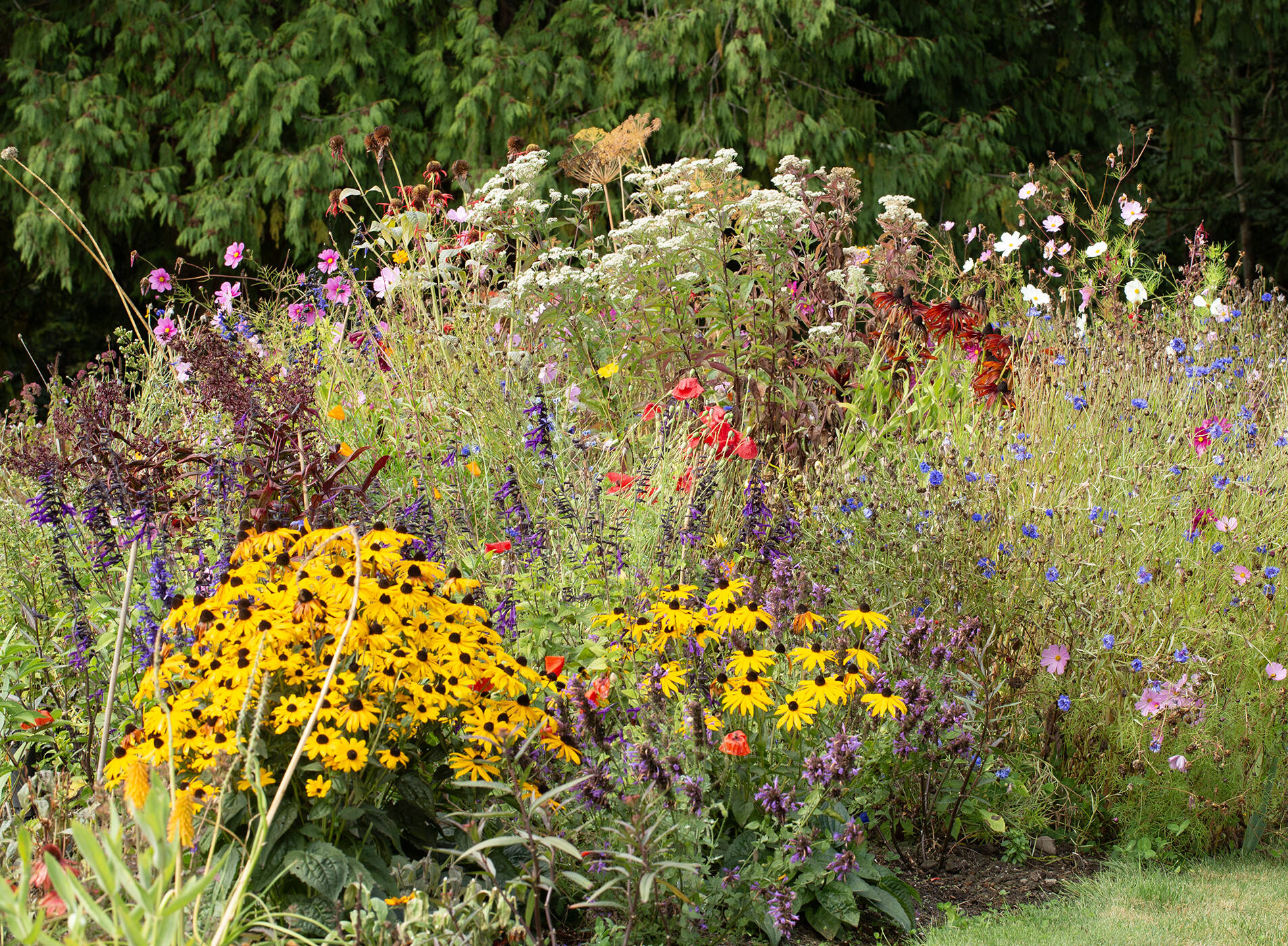 Photo by Robb Drake
An understanding of watering principles can help keep your garden healthy and growing.