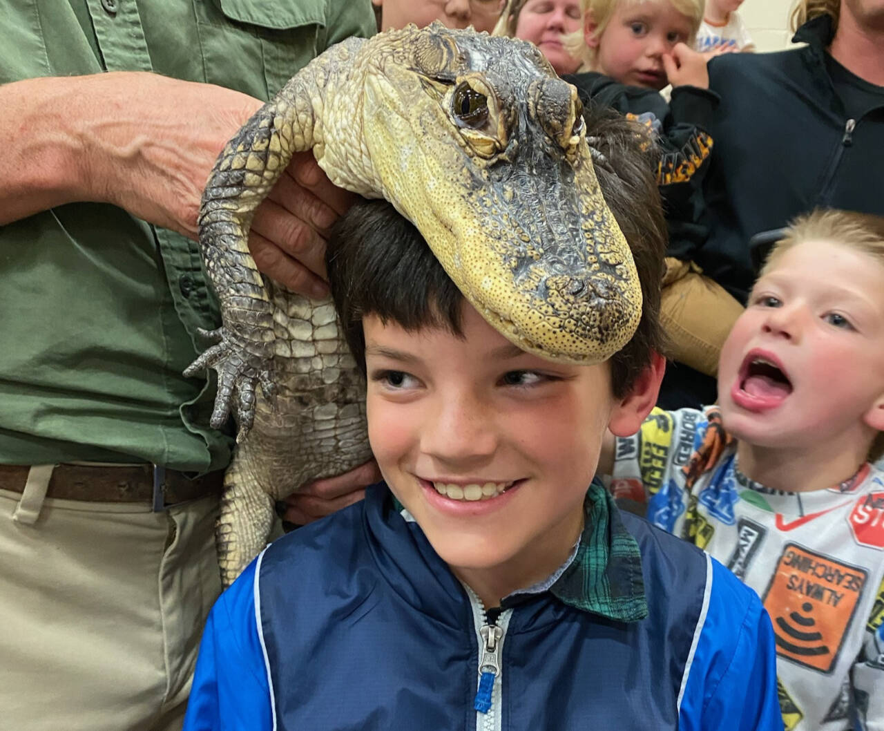 Photo courtesy of North Olympic Library System / Odin Glaude of Port Angeles gets up close to an alligator at The Reptile Man show at Jefferson Elementary in 2023. The Library is bringing the show to Port Angeles, Forks and Sequim on June 25.