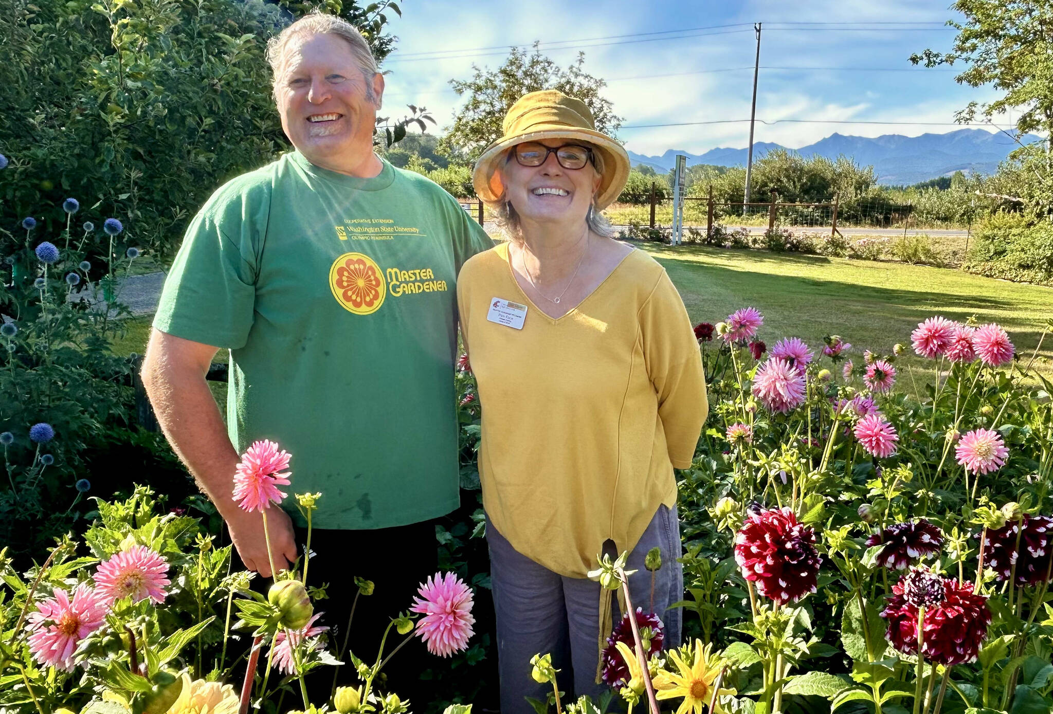 Photo by Susan Kalmar/ Clallam County Master Gardeners Ed Adams and Pam Pace will present The World of Dahlias on Saturday, Sept. 20 as part of the Digging Deeper Saturdays series at Woodcock Demonstration Garden, 2711 Woodcock Road in Sequim.