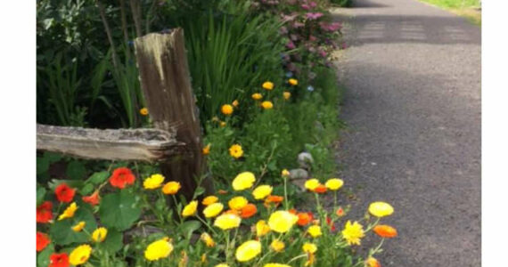 The last Walk About tour of the season at Woodcock Demonstration Gardens in Sequim will take place at 10 a.m. on Thursday, Oct. 2.
Photo by Cathy Wagner