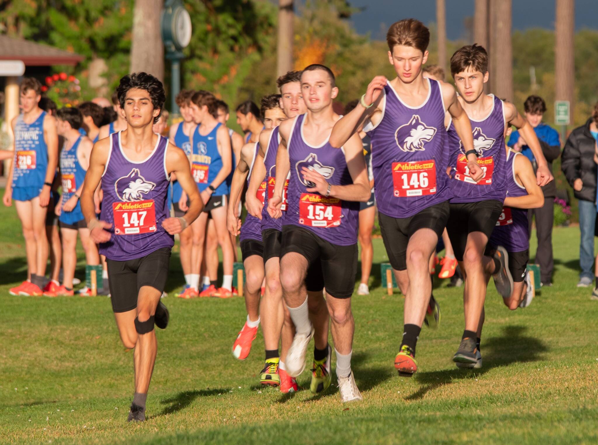 Photo by Emily Matthiessen
The Sequim varsity cross country team takes off from the start of the Olympic League Championship on Oct. 23 at The Cedars at Dungeness.