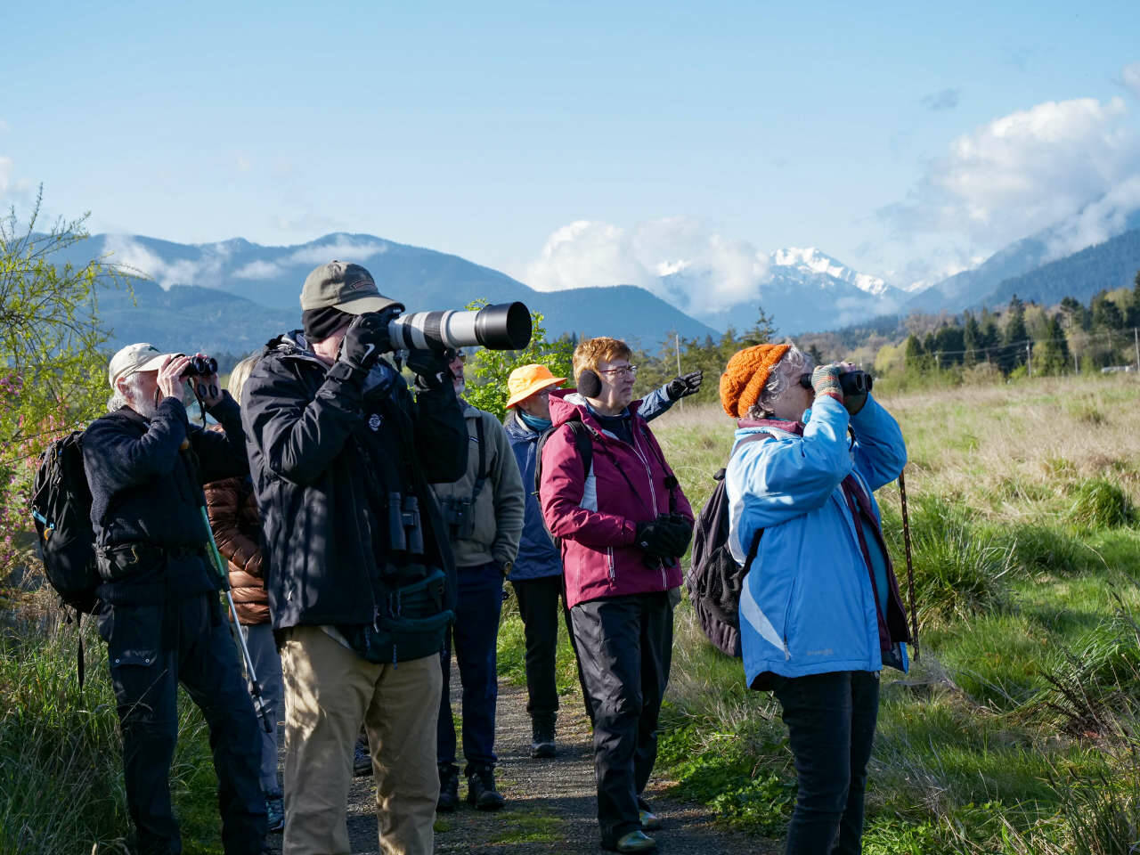 Photo courtesy Dungeness River Nature Center
The annual Olympic BirdFest is a popular, multi-day event that features diverse field trips and a Saturday night banquet dinner at the Dungeness River Nature Centers Rainshadow Hall.
