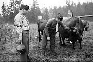 MAC captures Sequim wartime memories