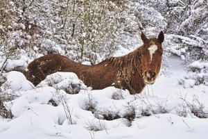 2012: The Year in Pictures
