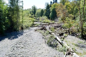 Low snowpack levels have the Dungeness River running bare in spots and water user groups pushing conservation efforts.