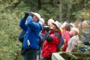 Refuge to host winter bird walk