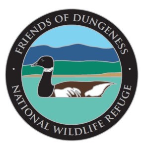 Shorebird walk set at Dungeness refuge