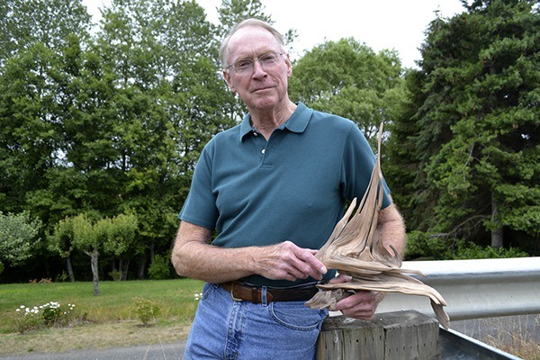Don Berger holds fellow driftwood sculptor Cliff Peterson's art piece that he plans to finish for him by July 15 and the start of the Olympic Driftwood Sculptors' annual Lavender Weekend show. Peterson asked Berger to finish it for him due to health issues so that he could give it to his health provider.
