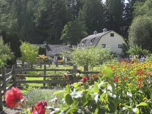 The Olympic Music Festival presents the third weekend of its 31st season July 11-13.
