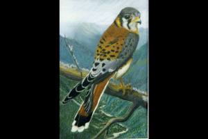 First Friday Art Walk: All about Orange