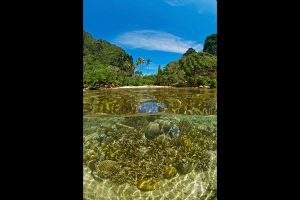 Finding the ultimate reef