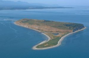 Protection Island