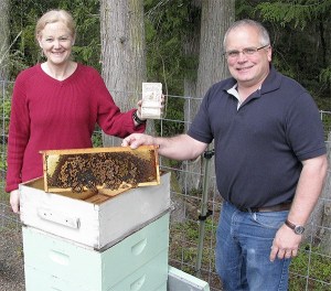 Seed packets that help homeowners control the spread of noxious weeds and promote pollinator-friendly environments in home gardens are now available to local homeowners at no cost. Pictured here are Clallam County Noxious Weed Control coordinator Cathy Lucero