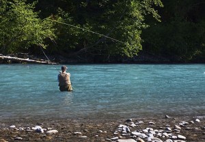 Park closes Hoh River watershed to recreational fishing