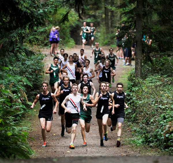 Sequim runners surround competitors at their home meet on Oct. 8 at Robin Hill Park. The Wolves took second-sixth places for the boys.