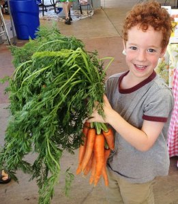 Peninsula group to preserve 24-Carrot Farm