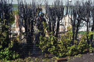 Summer rules change burn piles' sizes