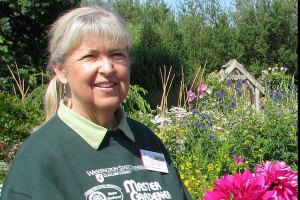 Showing how to take care of dahlias