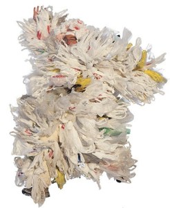 The last film in Nash’s winter film series is “Bag It